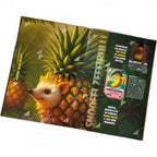 BRAINROT Album na karty Beta