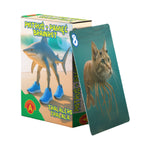 Karty Piotruś i Pamięć z Tralalero Tralala